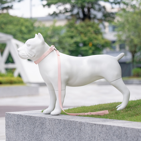 st&aacute;hnout (42).jpg