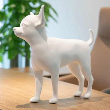 V&yacute;stavy ps&iacute;ch manek&yacute;nů: Tajemstv&iacute; efektivn&iacute; prezentace přen&aacute;šeče čivavy