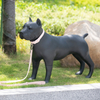 Sunray Mascota Fiberglass Hunde Mannequin Engros Factory Cohors Hunde Mannequin 