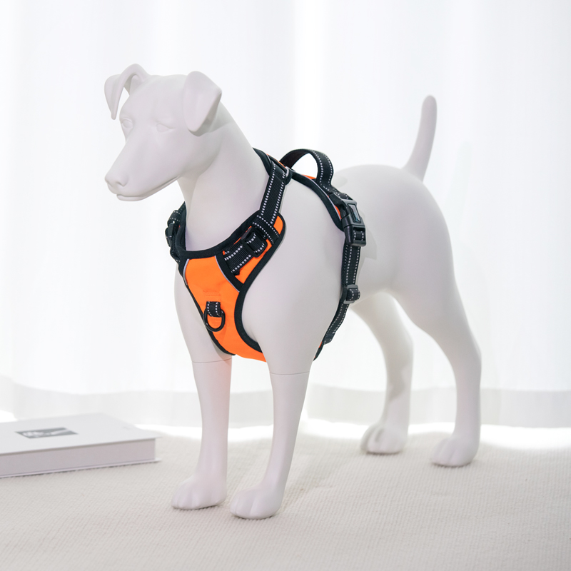 Všestrann&yacute; svět ps&iacute;ch figur&iacute;n: Vylepšen&iacute; displejů a aplikac&iacute;