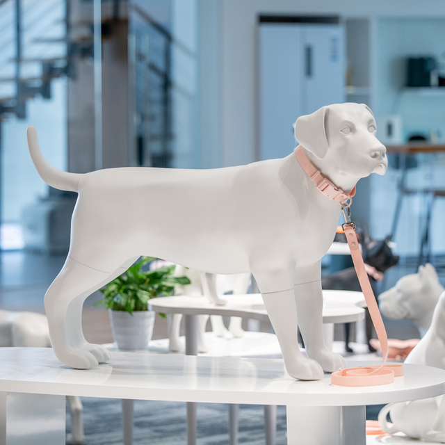 Manekin dla psa rasy labrador retriever Sunray z matowego białego wł&oacute;kna szklanego