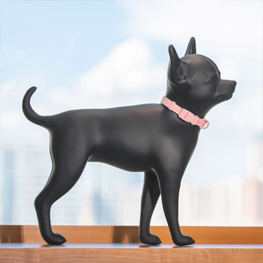 مورد تایید چیهواهوا: نحوه انتخاب مانکن مناسب برای لباس سگ