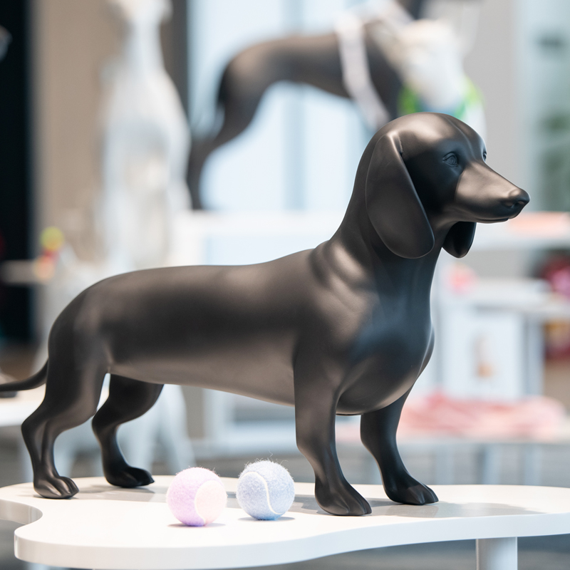 애완동물 의류 디스플레이를 위한 Weimaraner 개 마네킹의 완벽한 사용