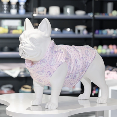 Od wybiegu do Petwalk: wykorzystanie modeli buldog&oacute;w francuskich do prezentacji ubranek dla zwierząt