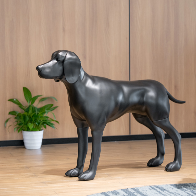 Innowacyjne zastosowania manekin&oacute;w dla ps&oacute;w