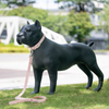 Sunray Mascota Fiberglass Manekin Anjing Borong Kohor Manekin Anjing 