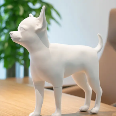 لماذا يتطلب تصميم وعرض ملابس الحيوانات الأليفة نماذج عالية الجودة للكلاب؟